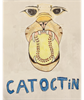 Catoctin Rec Council